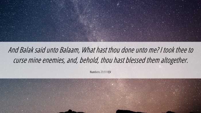 Picture 06 - Numbers 23:11 KJV Desktop Wallpaper - And Balak said unto Balaam, What hast thou done - Desktop Bible Verse Wallpaper