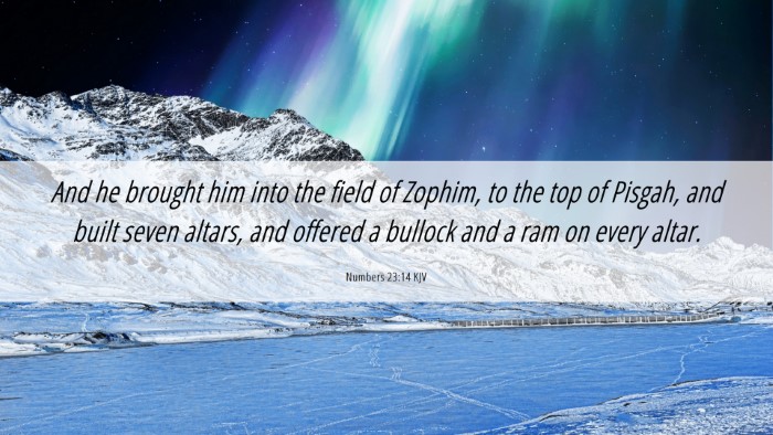 Picture 06 - Numbers 23:14 KJV Desktop Wallpaper - And he brought him into the field of Zophim, to - Desktop Bible Verse Wallpaper