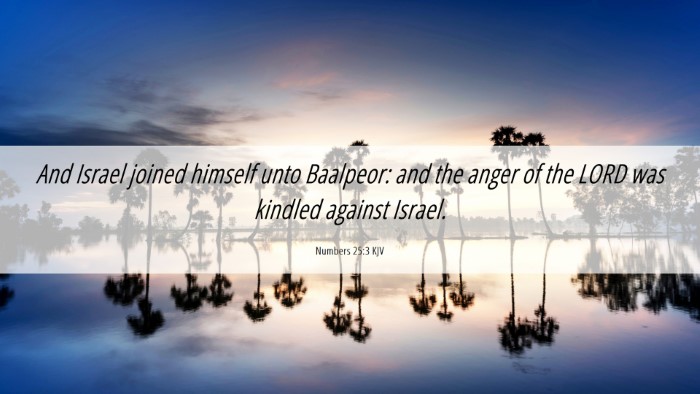 Picture 06 - Numbers 25:3 KJV Desktop Wallpaper - And Israel joined himself unto Baalpeor: and the - Desktop Bible Verse Wallpaper