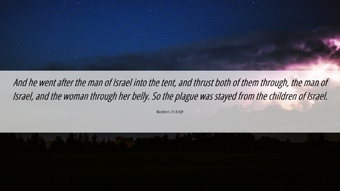 Picture 06 - Numbers 25:8 KJV Desktop Wallpaper - And he went after the man of Israel into the - Desktop Bible Verse Wallpaper