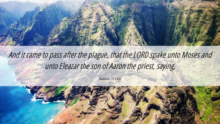 Picture 06 - Numbers 26:1 KJV Desktop Wallpaper - And it came to pass after the plague, that the - Desktop Bible Verse Wallpaper