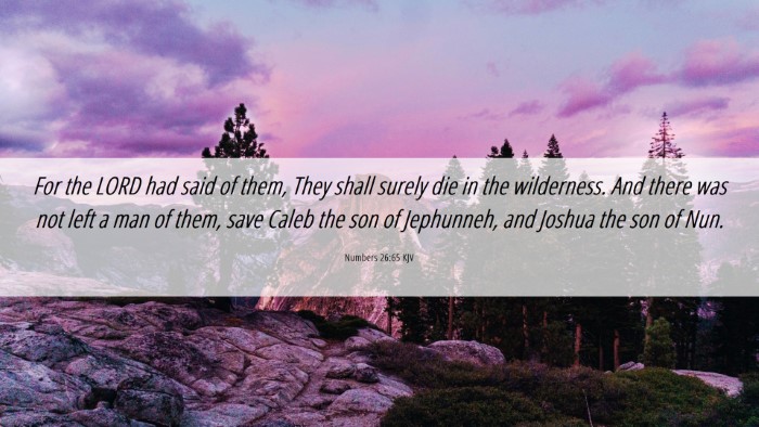 Picture 06 - Numbers 26:65 KJV Desktop Wallpaper - For the LORD had said of them, They shall surely - Desktop Bible Verse Wallpaper