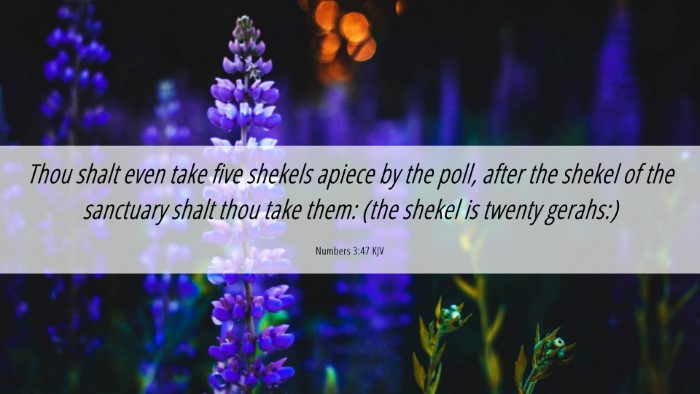 Picture 06 - Numbers 3:47 KJV Desktop Wallpaper - Thou shalt even take five shekels apiece by the - Desktop Bible Verse Wallpaper
