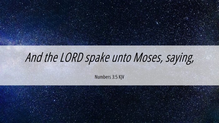 Picture 06 - Numbers 3:5 KJV Desktop Wallpaper - And the LORD spake unto Moses, - Desktop Bible Verse Wallpaper