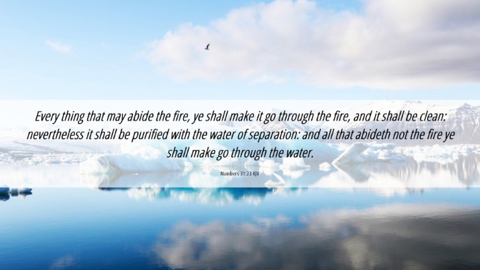 Picture 06 - Numbers 31:23 KJV Desktop Wallpaper - Every thing that may abide the fire, ye shall - Desktop Bible Verse Wallpaper