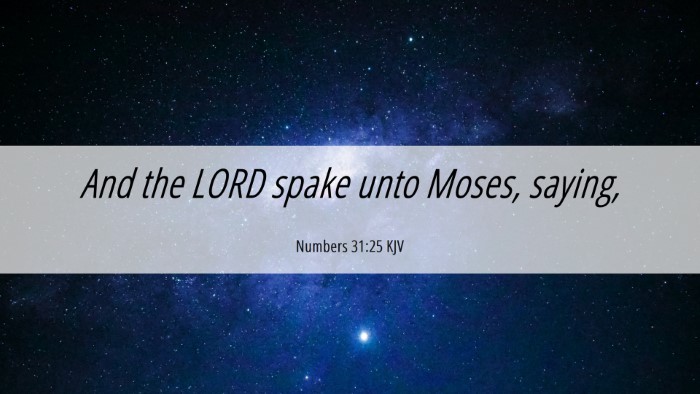 Picture 06 - Numbers 31:25 KJV Desktop Wallpaper - And the LORD spake unto Moses, - Desktop Bible Verse Wallpaper