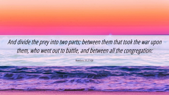 Picture 06 - Numbers 31:27 KJV Desktop Wallpaper - And divide the prey into two parts; between them - Desktop Bible Verse Wallpaper