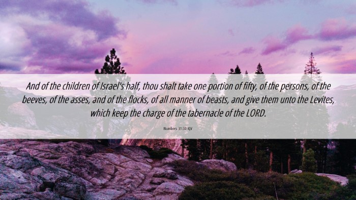 Picture 06 - Numbers 31:30 KJV Desktop Wallpaper - And of the children of Israel's half, thou shalt - Desktop Bible Verse Wallpaper