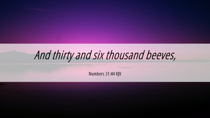 Picture 06 - Numbers 31:44 KJV Desktop Wallpaper - And thirty and six thousand - Desktop Bible Verse Wallpaper