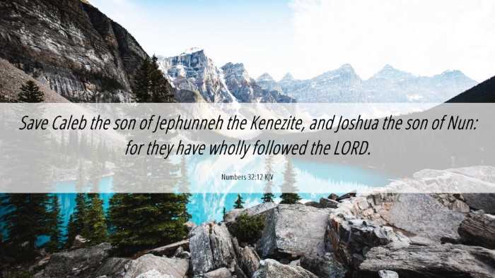 Picture 06 - Numbers 32:12 KJV Desktop Wallpaper - Save Caleb the son of Jephunneh the Kenezite, and - Desktop Bible Verse Wallpaper