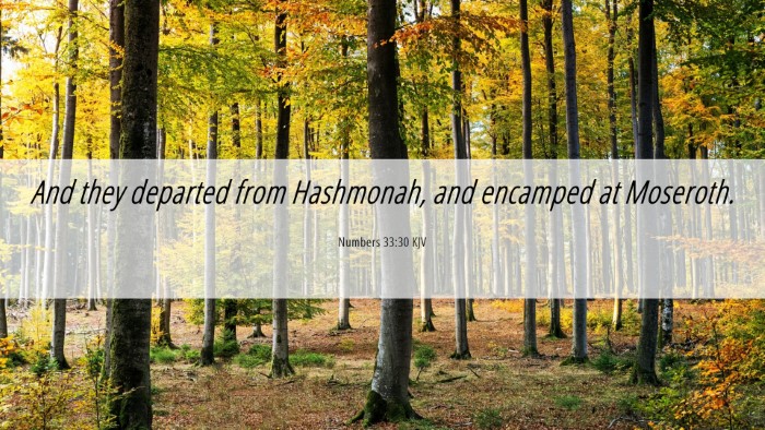 Picture 06 - Numbers 33:30 KJV Desktop Wallpaper - And they departed from Hashmonah, and encamped at - Desktop Bible Verse Wallpaper