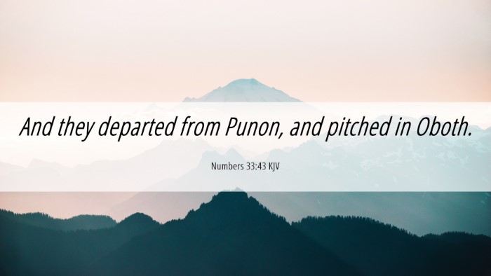 Picture 06 - Numbers 33:43 KJV Desktop Wallpaper - And they departed from Punon, and pitched in - Desktop Bible Verse Wallpaper