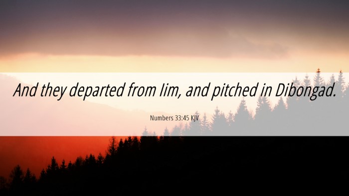 Picture 06 - Numbers 33:45 KJV Desktop Wallpaper - And they departed from Iim, and pitched in - Desktop Bible Verse Wallpaper