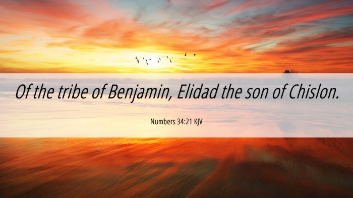 Picture 06 - Numbers 34:21 KJV Desktop Wallpaper - Of the tribe of Benjamin, Elidad the son of - Desktop Bible Verse Wallpaper