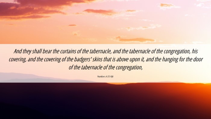 Picture 06 - Numbers 4:25 KJV Desktop Wallpaper - And they shall bear the curtains of the - Desktop Bible Verse Wallpaper