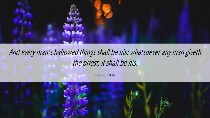 Picture 06 - Numbers 5:10 KJV Desktop Wallpaper - And every man's hallowed things shall be his: - Desktop Bible Verse Wallpaper