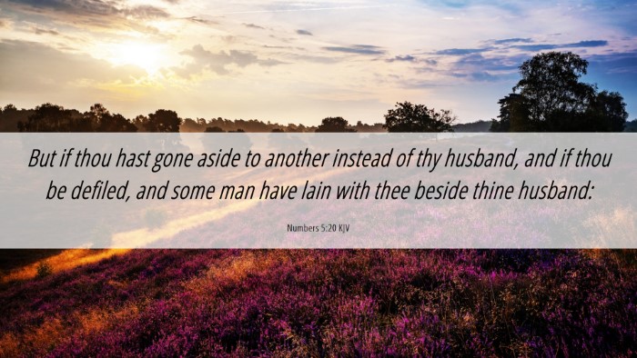 Picture 06 - Numbers 5:20 KJV Desktop Wallpaper - But if thou hast gone aside to another instead of - Desktop Bible Verse Wallpaper