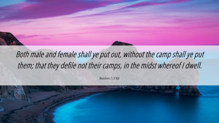Picture 06 - Numbers 5:3 KJV Desktop Wallpaper - Both male and female shall ye put out, without - Desktop Bible Verse Wallpaper