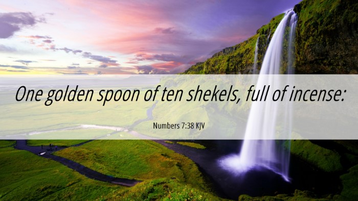 Picture 06 - Numbers 7:38 KJV Desktop Wallpaper - One golden spoon of ten shekels, full of - Desktop Bible Verse Wallpaper
