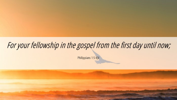 Picture 06 - Philippians 1:5 KJV Desktop Wallpaper - For your fellowship in the gospel from the first - Desktop Bible Verse Wallpaper
