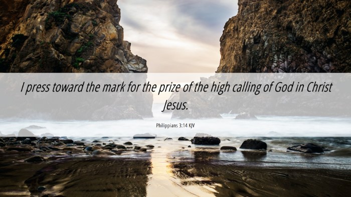 Picture 06 - Philippians 3:14 KJV Desktop Wallpaper - I press toward the mark for the prize of the high - Desktop Bible Verse Wallpaper