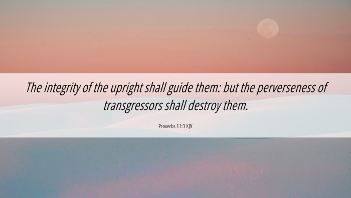 Picture 06 - Proverbs 11:3 KJV Desktop Wallpaper - The integrity of the upright shall guide them: - Desktop Bible Verse Wallpaper