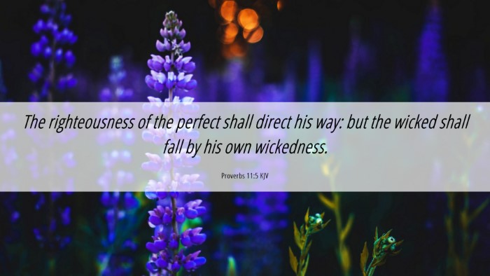Picture 06 - Proverbs 11:5 KJV Desktop Wallpaper - The righteousness of the perfect shall direct his - Desktop Bible Verse Wallpaper