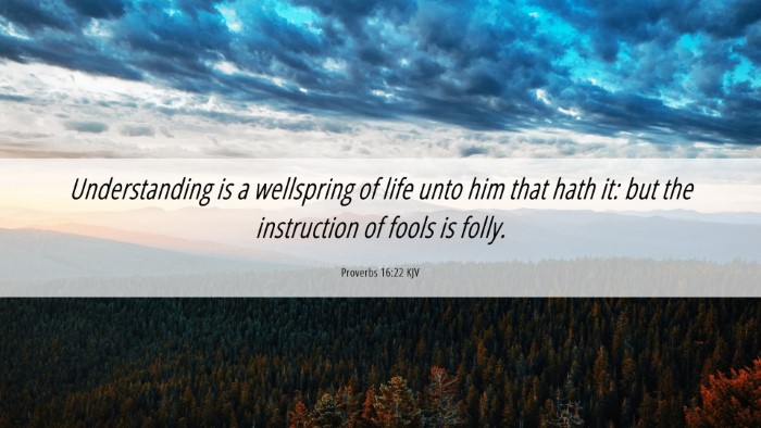 Picture 06 - Proverbs 16:22 KJV Desktop Wallpaper - Understanding is a wellspring of life unto him - Desktop Bible Verse Wallpaper