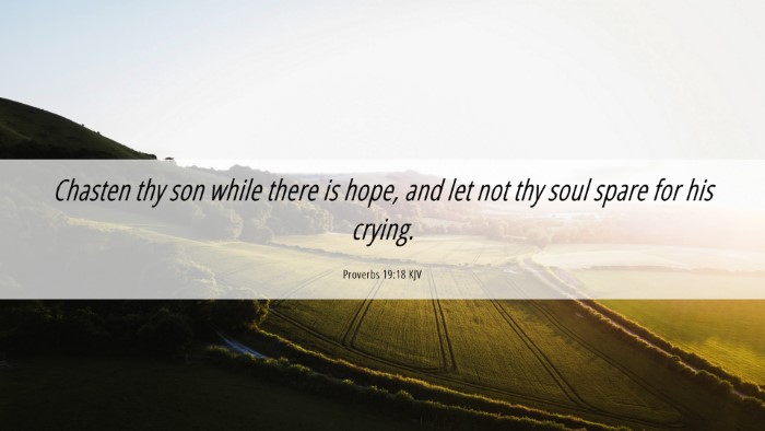 Picture 06 - Proverbs 19:18 KJV Desktop Wallpaper - Chasten thy son while there is hope, and let not - Desktop Bible Verse Wallpaper