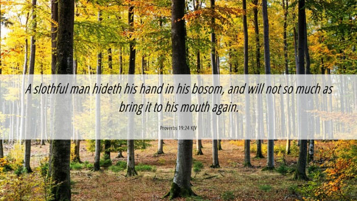 Picture 06 - Proverbs 19:24 KJV Desktop Wallpaper - A slothful man hideth his hand in his bosom, and - Desktop Bible Verse Wallpaper