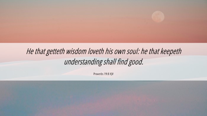 Picture 06 - Proverbs 19:8 KJV Desktop Wallpaper - He that getteth wisdom loveth his own soul: he - Desktop Bible Verse Wallpaper