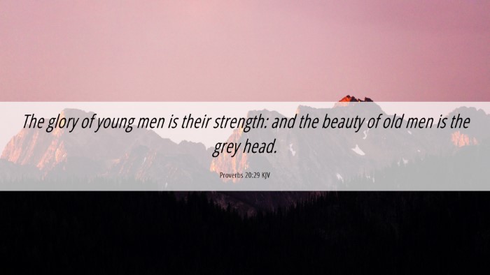 Picture 06 - Proverbs 20:29 KJV Desktop Wallpaper - The glory of young men is their strength: and the - Desktop Bible Verse Wallpaper