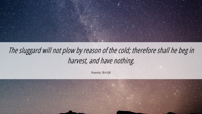 Picture 06 - Proverbs 20:4 KJV Desktop Wallpaper - The sluggard will not plow by reason of the cold; - Desktop Bible Verse Wallpaper