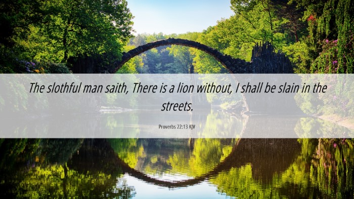 Picture 06 - Proverbs 22:13 KJV Desktop Wallpaper - The slothful man saith, There is a lion without, - Desktop Bible Verse Wallpaper