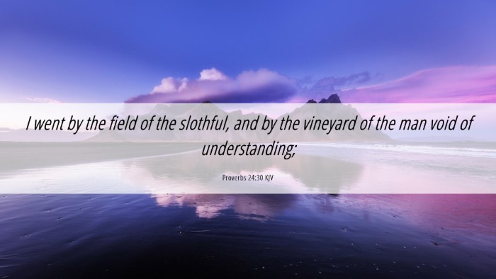 Picture 06 - Proverbs 24:30 KJV Desktop Wallpaper - I went by the field of the slothful, and by the - Desktop Bible Verse Wallpaper