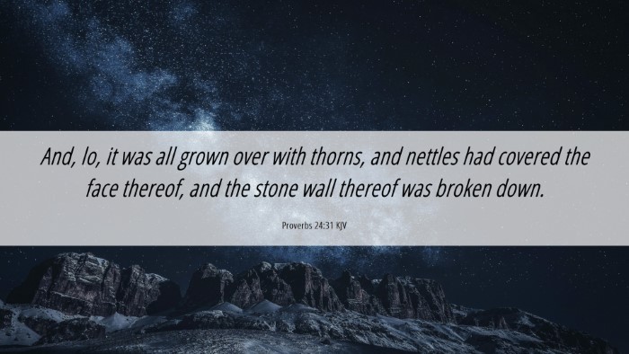 Picture 06 - Proverbs 24:31 KJV Desktop Wallpaper - And, lo, it was all grown over with thorns, and - Desktop Bible Verse Wallpaper