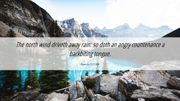 Picture 06 - Proverbs 25:23 KJV Desktop Wallpaper - The north wind driveth away rain: so doth an - Desktop Bible Verse Wallpaper