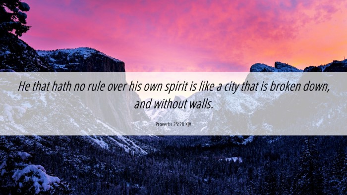 Picture 06 - Proverbs 25:28 KJV Desktop Wallpaper - He that hath no rule over his own spirit is like - Desktop Bible Verse Wallpaper