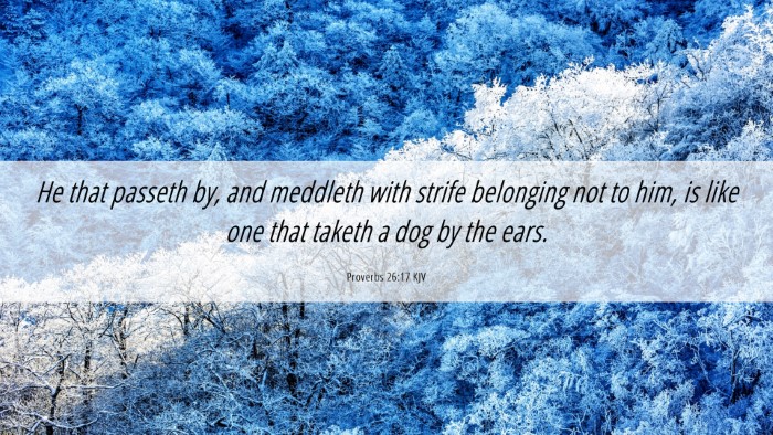 Picture 06 - Proverbs 26:17 KJV Desktop Wallpaper - He that passeth by, and meddleth with strife - Desktop Bible Verse Wallpaper