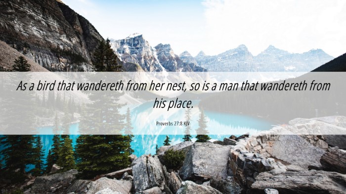 Picture 06 - Proverbs 27:8 KJV Desktop Wallpaper - As a bird that wandereth from her nest, so is a - Desktop Bible Verse Wallpaper