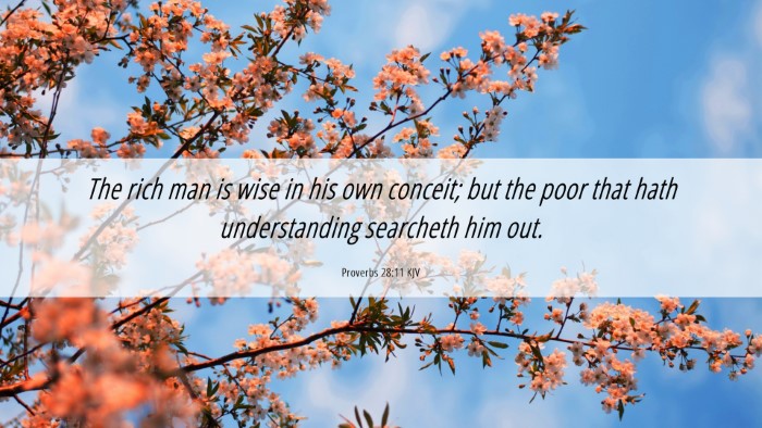Picture 06 - Proverbs 28:11 KJV Desktop Wallpaper - The rich man is wise in his own conceit; but the - Desktop Bible Verse Wallpaper