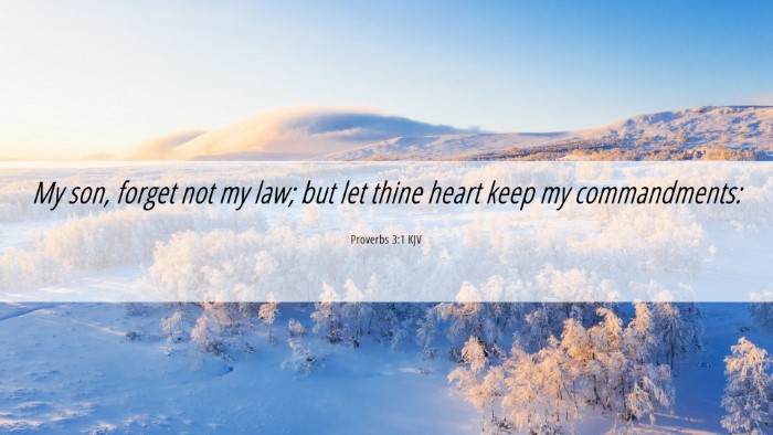 Picture 06 - Proverbs 3:1 KJV Desktop Wallpaper - My son, forget not my law; but let thine heart - Desktop Bible Verse Wallpaper