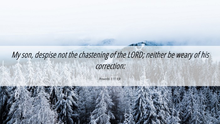 Picture 06 - Proverbs 3:11 KJV Desktop Wallpaper - My son, despise not the chastening of the LORD; - Desktop Bible Verse Wallpaper