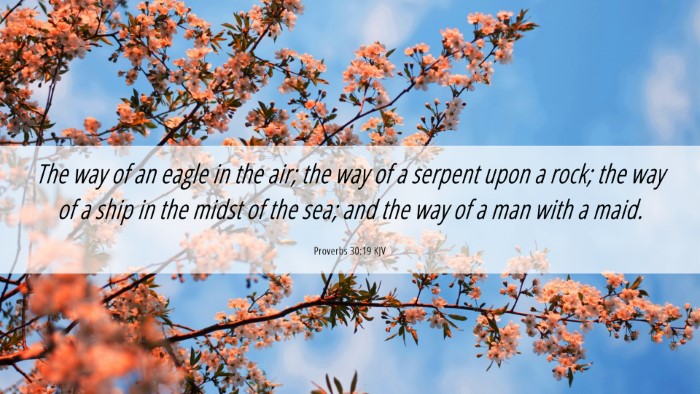 Picture 06 - Proverbs 30:19 KJV Desktop Wallpaper - The way of an eagle in the air; the way of a - Desktop Bible Verse Wallpaper