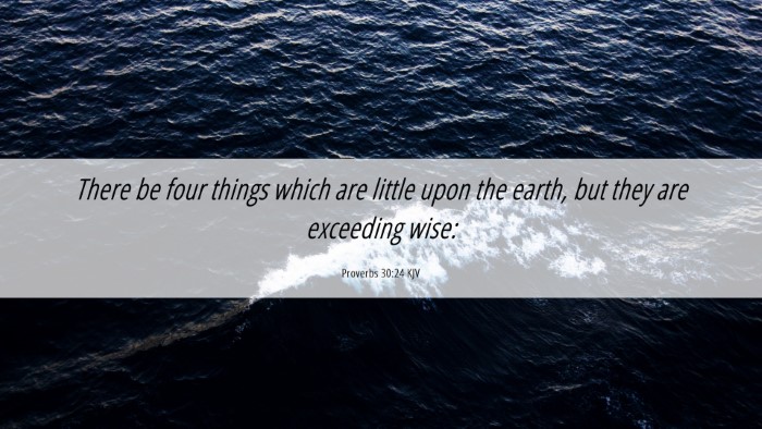Picture 06 - Proverbs 30:24 KJV Desktop Wallpaper - There be four things which are little upon the - Desktop Bible Verse Wallpaper