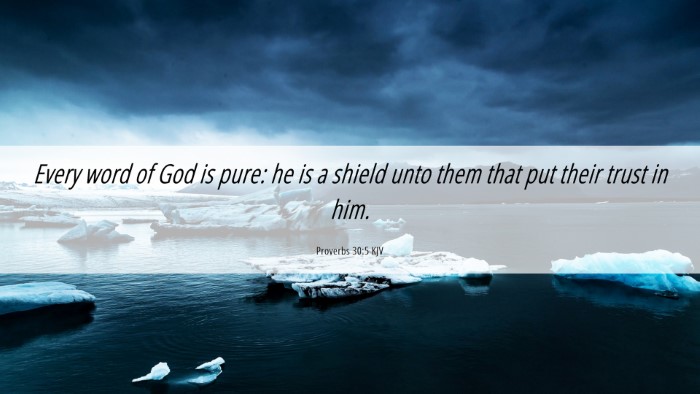 Picture 06 - Proverbs 30:5 KJV Desktop Wallpaper - Every word of God is pure: he is a shield unto - Desktop Bible Verse Wallpaper