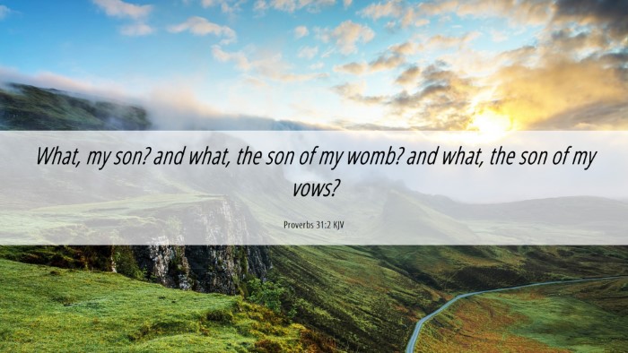 Picture 06 - Proverbs 31:2 KJV Desktop Wallpaper - What, my son? and what, the son of my womb? and - Desktop Bible Verse Wallpaper