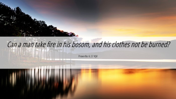 Picture 06 - Proverbs 6:27 KJV Desktop Wallpaper - Can a man take fire in his bosom, and his clothes - Desktop Bible Verse Wallpaper