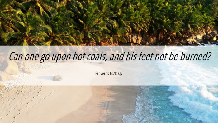 Picture 06 - Proverbs 6:28 KJV Desktop Wallpaper - Can one go upon hot coals, and his feet not be - Desktop Bible Verse Wallpaper