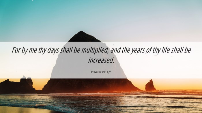 Picture 06 - Proverbs 9:11 KJV Desktop Wallpaper - For by me thy days shall be multiplied, and the - Desktop Bible Verse Wallpaper